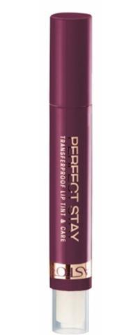 Astor Perfect Stay Lip Tint  10g Odstín 154 Nude Plum