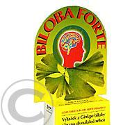 NATURVITA Biloba forte 60 tablet