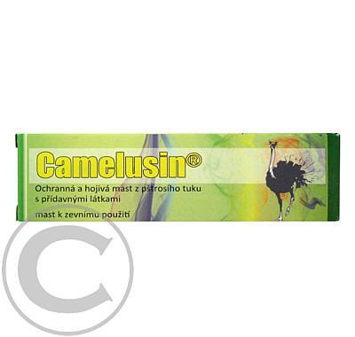 Camelusin mast 15ml