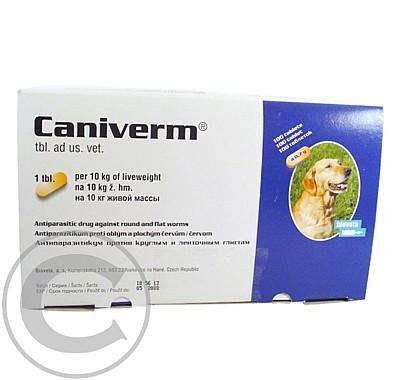 CANIVERM A.U.V. TBL 100X700MG