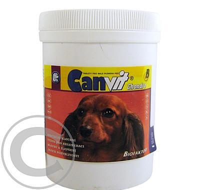 Canvit Chondro 250 g a.u.v.