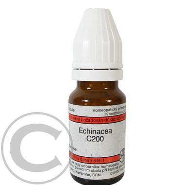 ECHINACEA GLO 8GM C200