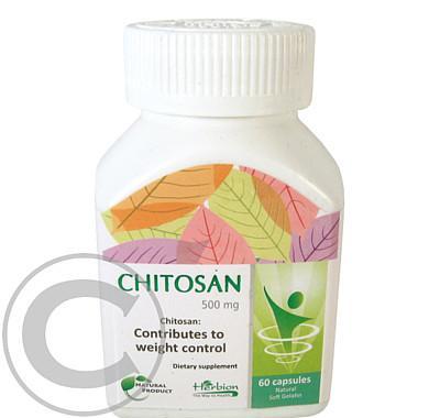 Chitosan 500mg cps.60