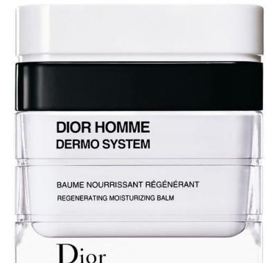 CHRISTIAN DIOR Homme Dermo System Regenerating Moisturizing Balm 50 ml