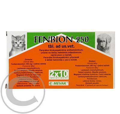 FENBION 250 A.U.V. TBL 2X10X250MG