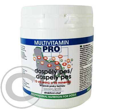 Fitmin  Pro multivitamin dospělý pes plv 450g