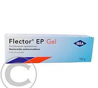 FLECTOR EP GEL  1X100GM Gel