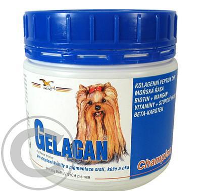 Gelacan Champion psi  barevná plemena 150g