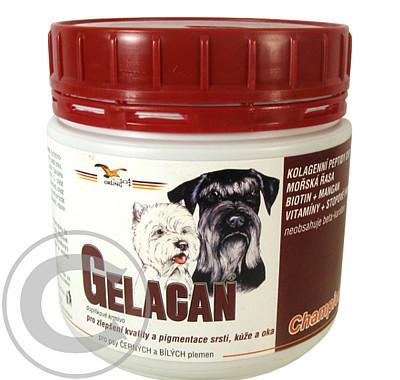 Gelacan Champion psi  černobílá plemena 150g