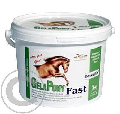 Gelapony Fast 600 g a.u.v.