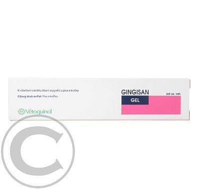 Gingisan gel 20g