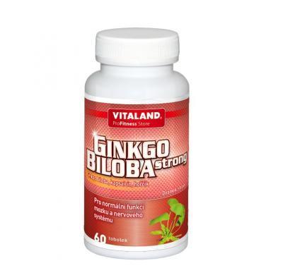 Ginkgo Biloba Strong 60 tablet