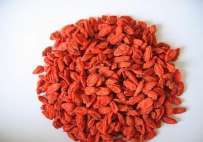 Goji Berries BIO 100g