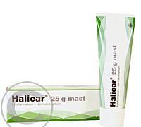 HALICAR  1X25GM Mast