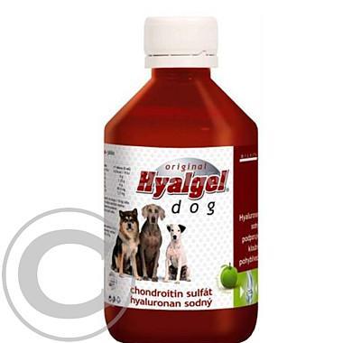 Hyalgel Dog Original jablko 500ml