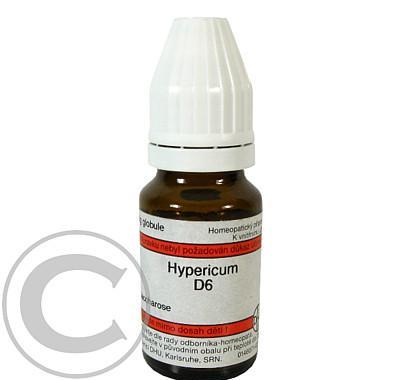 HYPERICUM D  6 GLO.8G