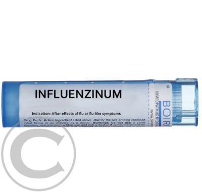 INFLUENZINUM  1X4GM 4CH-200CH Granule