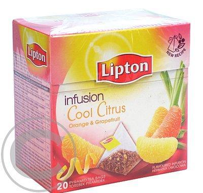 Lipton Cool Citrus pyramid 48g