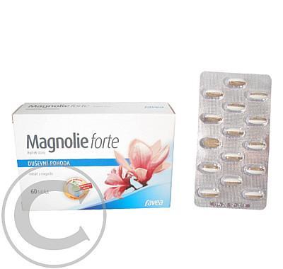 Magnolie forte tbl.60