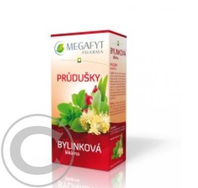 MEGAFYT Bylinková lékárna průdušky 20x1,5 g