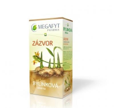 MEGAFYT Bylinková lékárna Zázvor 20x1,5 g