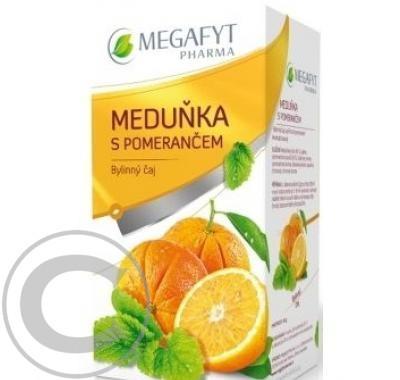 MEGAFYT Ovocný Meduňka s pomerančem 20x2 g