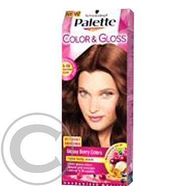 PALETTE Color&gloss 5 86 pikan skořice 50ml