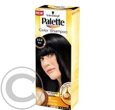 PALETTE Color shampoo 113 černý