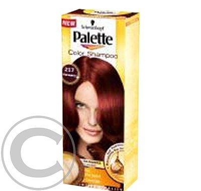 PALETTE Color shampoo 217 mahagon