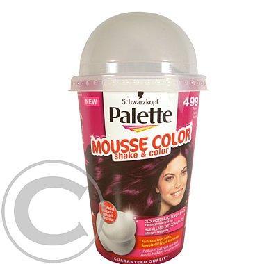 Palette Mousse Color 499 Fialový 125ml