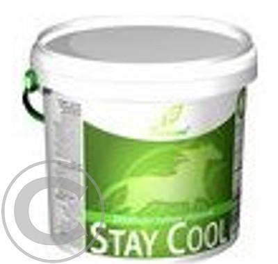 Phytovet Horse Stay cool 2,5kg