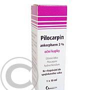 PILOCARPIN ANKERP.2% OČNÍ KAPKY  1X10ML Oční kapky, roztok