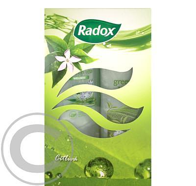 RADOX For Woman Citlivá Kazeta sprchový gel 250ml Bath Foam 500ml