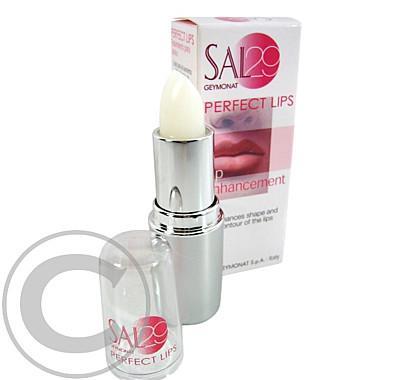 SAL 29 Perfect lips 4g