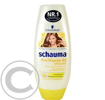 Schauma Conditioner Pro-Vitamin B5 250ml: VÝPRODEJ