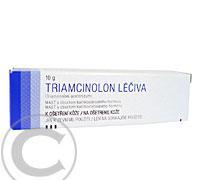 TRIAMCINOLON LÉČIVA UNG  1X10GM Mast