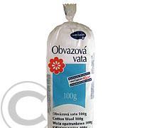 Vata obvazová skládaná 100g 1102330