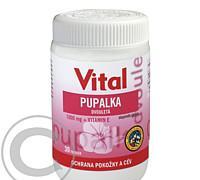 Vital Pupalka dvouletá tob. 30