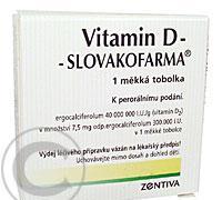 VITAMIN D SLOVAKOFARMA  1X300KU Tobolky