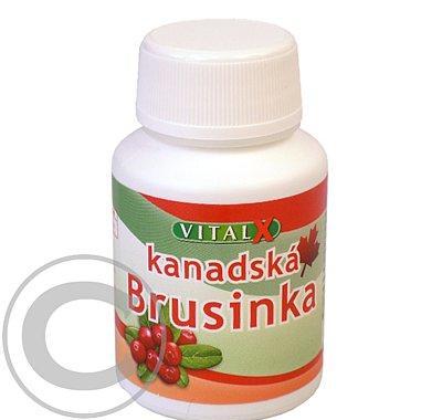 VITAX Kanadská brusinka 40 cps.