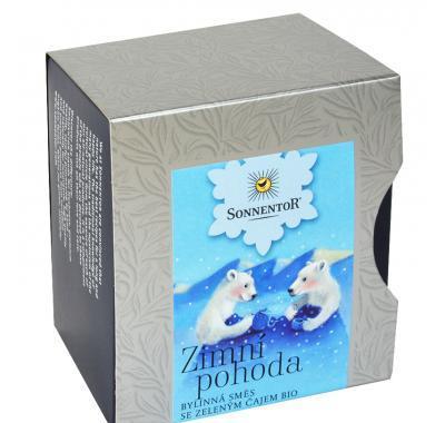 Zimní pohoda bio 30 g pyramida(12 ks pyramid)